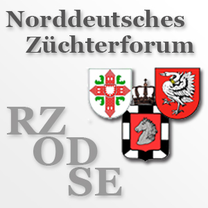 Züchterforum Auktion