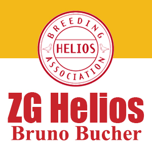 Auktion ZG Helios Bruno Bucher