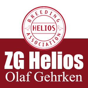 Auktion ZG Helios Olaf Gehrken