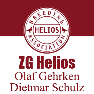 ZG Helios Olaf Gehrken & Dietmar Schulz