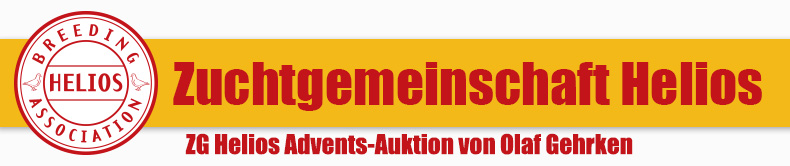 Banner Auktion Gehrken
