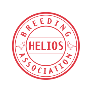 ZG Helios Logo
