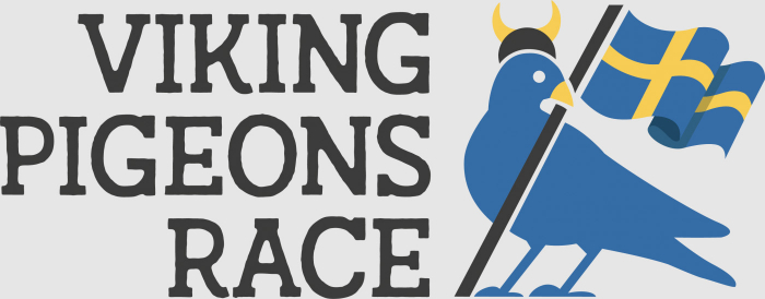 viking_race_logo