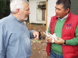 Yu Tao mit Dirk van den Bulck